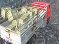Гра Водій вантажівки позашляховика  онлайн