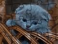 Гра Головоломки: коти  онлайн