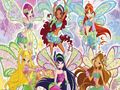 Гра Знайти номери Winx  онлайн