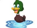 Гра Виклик пам'яті Duck  онлайн