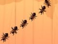 Гра Ant Antash  онлайн
