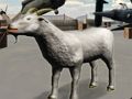 Гра Злі дикі тварини сказують  онлайн