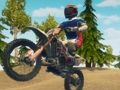 Гра Грязний велосипед Enduro Racing  онлайн