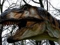 Гра Лобзик динозавра T-Rex  онлайн