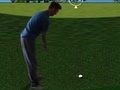 Гра Flash Golf 3D  онлайн