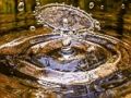 Гра Лобзик для бризок води  онлайн