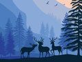 Гра Пейзажний рай прихований  онлайн