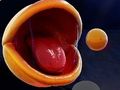 Гра Pac-man 3d онлайн