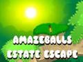 Гра Втеча з маєтку Amazeballs  онлайн