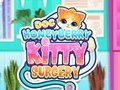 Гра Хірургія Doc HoneyBerry Kitty  онлайн
