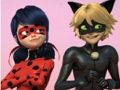 Гра Пазл Miraculous Ladybug & Cat Noir  онлайн