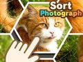 Гра Сортувати фотографію  онлайн