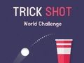 Гра Світовий виклик Trick Shot  онлайн