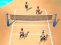 Гра Пляжний волейбол 3D  онлайн