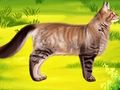 Гра Кіт Pet Лікар Стоматолог  онлайн