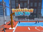 Гра Баскетбольне життя 3d  онлайн