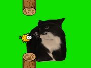 Гра Flappy Bird Sprining oia oia cat  онлайн