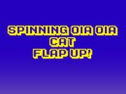Гра Спінінг OIA OIA CAT Flap up  онлайн