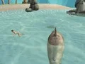 Shark Simulator Beach Killer — безкоштовна онлайн гра