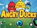 Angry Ducks — безкоштовна онлайн гра