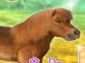My Dear Pony — безкоштовна онлайн гра