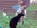 Deer Simulator 3D — безкоштовна онлайн гра
