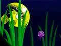 Flash Fish Freddie — безкоштовна онлайн гра
