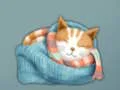 Adorable Escape Find Cute Kitten — безкоштовна онлайн гра