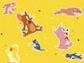 The Tom and Jerry Show Find it! — безкоштовна онлайн гра