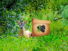 Return To Alsunga Forest — безкоштовна онлайн гра