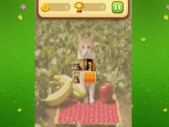 Farm Cat Memory Match — безкоштовна онлайн гра