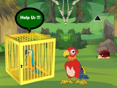Release Trapped Macaw Buddy — безкоштовна онлайн гра