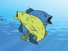 Friendly Fish Coloring — безкоштовна онлайн гра