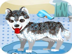 My Cute Dog Bathing — безкоштовна онлайн гра