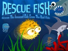 Rescue Fish — безкоштовна онлайн гра