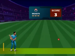 Cricket Night 2 — безкоштовна онлайн гра