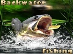 Backwater Fishing — безкоштовна онлайн гра