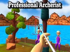 Professional Archerist — безкоштовна онлайн гра