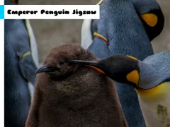 Emperor Penguin Jigsaw — безкоштовна онлайн гра