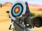 Hit Targets Shooting — безкоштовна онлайн гра