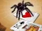 Jumping Spider — безкоштовна онлайн гра