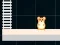 Hamster Grid Even Odd — безкоштовна онлайн гра