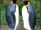 Penguin Puzzle — безкоштовна онлайн гра