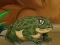 Frogs Matching — безкоштовна онлайн гра