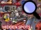 Hidden Spots In The Room — безкоштовна онлайн гра