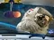 Space Find The Differences — безкоштовна онлайн гра