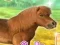 My Dear Pony — безкоштовна онлайн гра