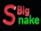Big Snake.io — безкоштовна онлайн гра