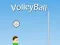VolleyBall — безкоштовна онлайн гра