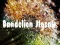 Dandelion Jigsaw — безкоштовна онлайн гра